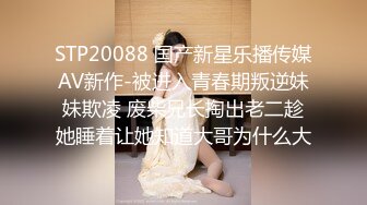 和小母狗的主人女仆体验