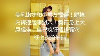 Al&mdash;张钧宁女仆内射