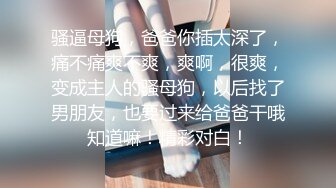 【苏畅x吴梦梦】梦幻合体 连续4部曲