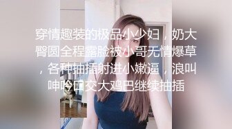 被强迫持续高潮的女上司 LAF-51