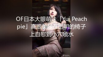 欧美厕所偷拍Pisswc系列合集【39V】 (16)