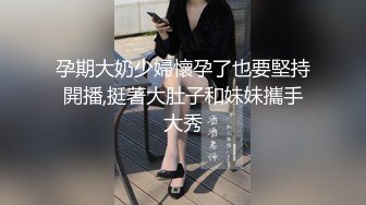 经典流出露出界知名露出网红FSS户外全裸露出自拍 情趣黑丝透视装午夜逛街 乡间全裸私拍真大胆 (1)