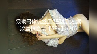 Al&mdash;裴珠泫花式爆操