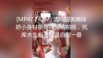 極品白皙美乳妹下海援交3P影片流出