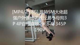 [MP4/23.8G] 推特SM大佬超强户外露出调教反差小母狗3P 4P自慰潮喷2米多高 345P 190V