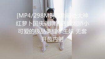 淑女轻少妇