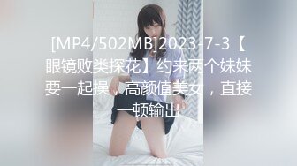 安静的乖乖女 2