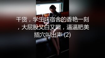 振动棒满足绍兴90后骚货