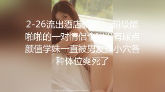 [MP4]麻豆传媒 MD-190-3《我是苏畅我回来了》酒后蜜屄渴望肉棒的抽插