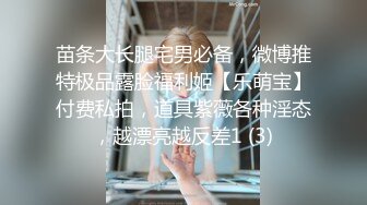 继续小情人系列