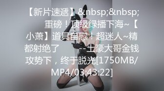 赵总寻花长相甜美小姐姐满背纹身69姿势口交舔逼抬起双腿打桩机猛操