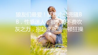 ★☆《究极核弹✅泄密》★☆九头身极品巨乳OnlyFans反差女神Npxvip私拍，顶级骚货专用精盆细腰丰乳肥臀，男人泄欲神器 (3)