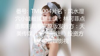 ❤️【重磅核弹】超高颜值车模女神【太子妃】SM调教露出啪啪第一部