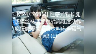 [中文字幕]公車妹檔案 17 沙耶