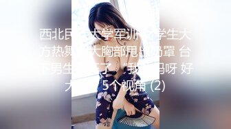 《精品泄密情侣私拍》反差婊E奶旅美留学生荷慧恋上大洋屌男友各种日常紫薇啪啪露脸自拍