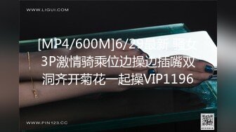 【中文字幕】见かけによらずウブな社长秘书の躾け方