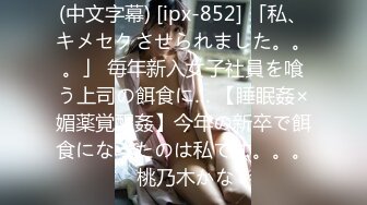 [原创] 沉浸式体验女仆的深层清洁（出全集）