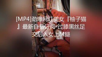 [MP4/451MB]蜜桃傳媒PMC238騷逼寡婦下藥迷奸妹婿-娃娃