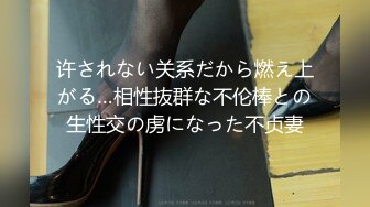 许されない关系だから燃え上がる…相性抜群な不伦棒との生性交の虏になった不贞妻