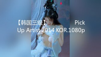 【韩国三级】픽업 아티스트 Pick Up Artist.2014.KOR.1080p