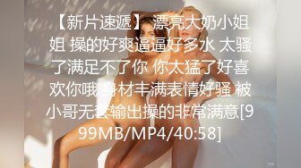 白百合换脸AI-女仆服务第一季