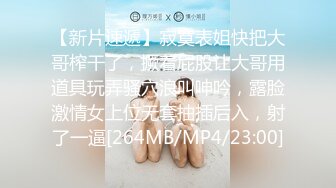 华裔博主mvLust onlyfans高清原档合集【138V】 (1)