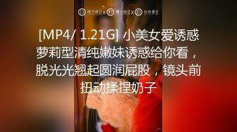 窈窕身材170cm车模▌淑怡▌平面模特的沦陷 上 大屌后入爆肏网丝女神 内射小穴