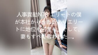 人事異動NTR エリートの僕が本社からきた訳ありエリートに地位も名誉も、そして、妻もすべて奪われた…。