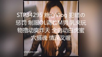 69FILMS 1017 销售潜规则 69传媒