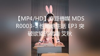 【MP4/HD】麻豆傳媒 MDSR0003-3 性婚姻生活 EP3 突破欲望的枷鎖 艾秋