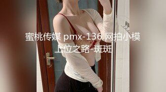 蜜桃传媒 pmx-136 网拍小模上位之路-斑斑