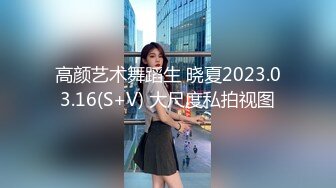 高颜艺术舞蹈生 晓夏2023.03.16(S+V) 大尺度私拍视图